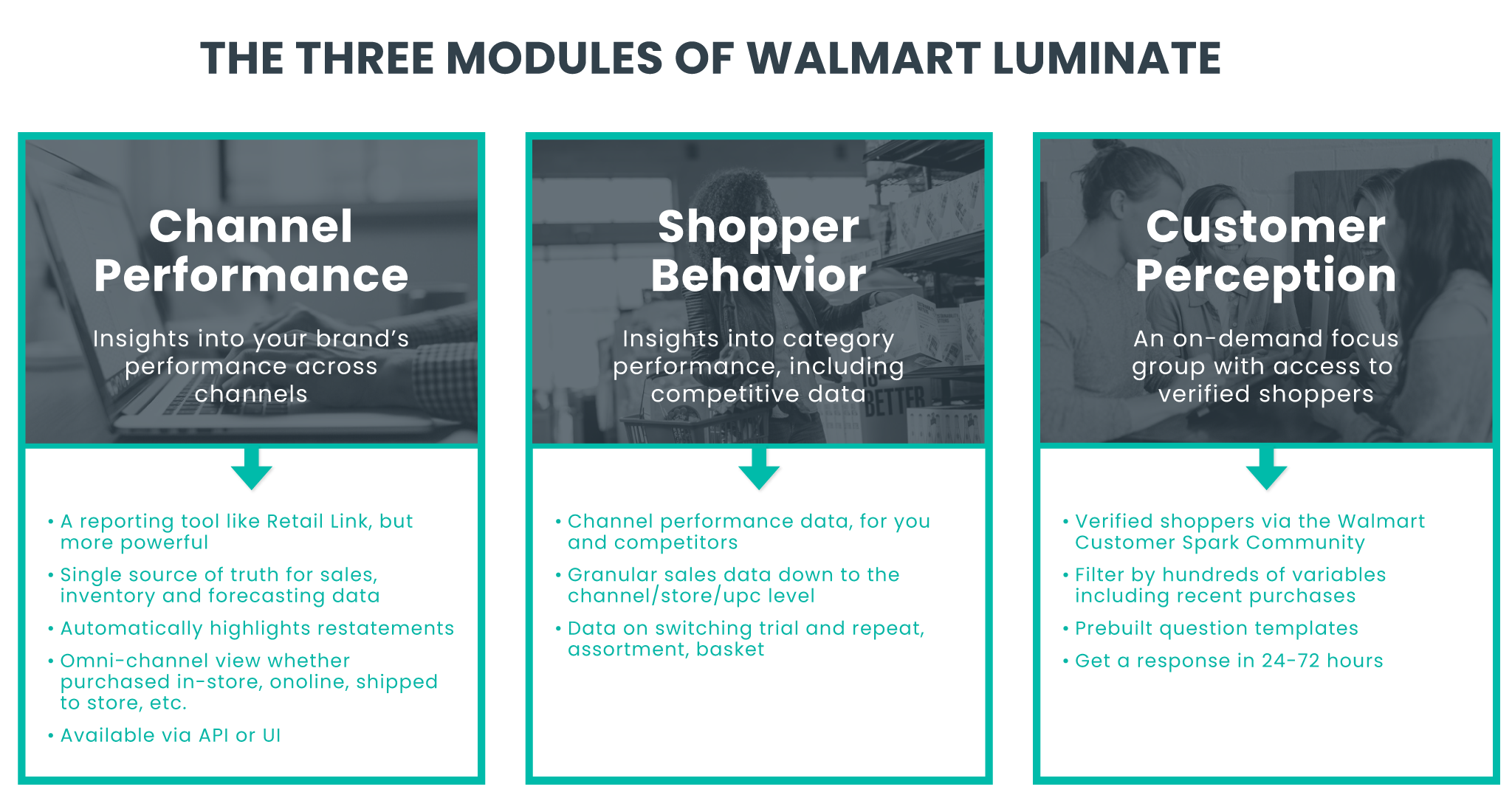 The Three Modules of Walmart Luminate